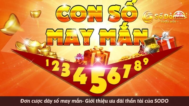 Đơn cược dãy số may mắn- Giới thiệu ưu đãi thần tài của SODO